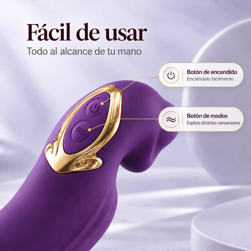 Elina Kit esencial
